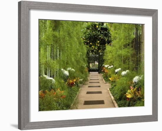 Autumn View of Longwood Gardens, Pennsylvania, Usa-Adam Jones-Framed Photographic Print