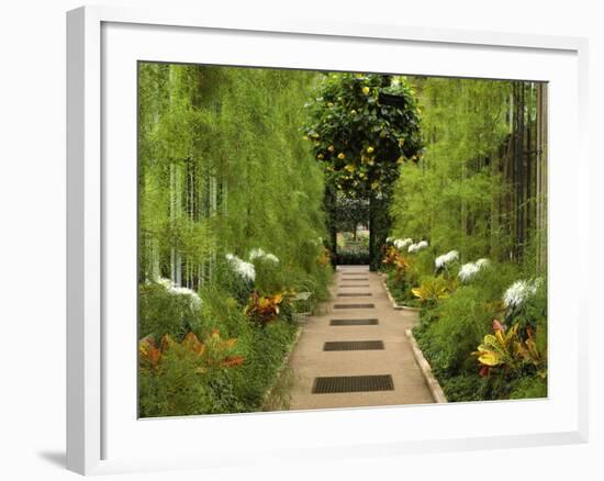 Autumn View of Longwood Gardens, Pennsylvania, Usa-Adam Jones-Framed Photographic Print