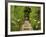 Autumn View of Longwood Gardens, Pennsylvania, Usa-Adam Jones-Framed Photographic Print