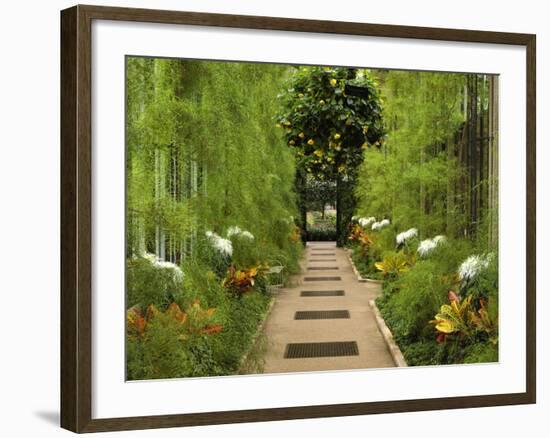 Autumn View of Longwood Gardens, Pennsylvania, Usa-Adam Jones-Framed Photographic Print