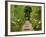 Autumn View of Longwood Gardens, Pennsylvania, Usa-Adam Jones-Framed Photographic Print