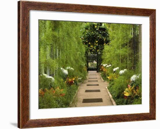 Autumn View of Longwood Gardens, Pennsylvania, Usa-Adam Jones-Framed Photographic Print