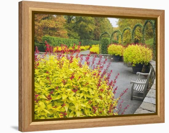 Autumn View of Longwood Gardens, Pennsylvania, Usa-Adam Jones-Framed Premier Image Canvas