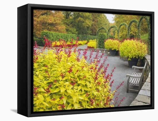 Autumn View of Longwood Gardens, Pennsylvania, Usa-Adam Jones-Framed Premier Image Canvas