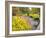 Autumn View of Longwood Gardens, Pennsylvania, Usa-Adam Jones-Framed Photographic Print