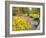 Autumn View of Longwood Gardens, Pennsylvania, Usa-Adam Jones-Framed Photographic Print