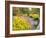 Autumn View of Longwood Gardens, Pennsylvania, Usa-Adam Jones-Framed Photographic Print