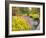 Autumn View of Longwood Gardens, Pennsylvania, Usa-Adam Jones-Framed Photographic Print