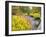 Autumn View of Longwood Gardens, Pennsylvania, Usa-Adam Jones-Framed Photographic Print