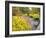 Autumn View of Longwood Gardens, Pennsylvania, Usa-Adam Jones-Framed Photographic Print