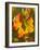 Autumn Vine Leaf, Vineyard, Near Bright, Victoria, Australia-David Wall-Framed Photographic Print