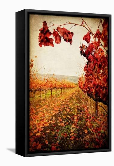 Autumn Vines-Jessica Rogers-Framed Premier Image Canvas