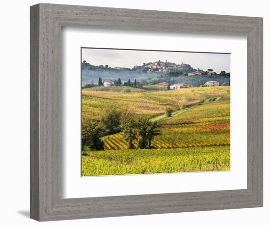 Autumn Vineyards in Full Color near Montepulciano-Terry Eggers-Framed Photographic Print