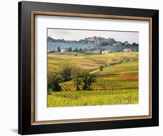 Autumn Vineyards in Full Color near Montepulciano-Terry Eggers-Framed Photographic Print