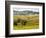 Autumn Vineyards in Full Color near Montepulciano-Terry Eggers-Framed Photographic Print