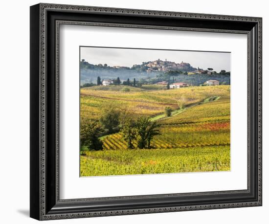 Autumn Vineyards in Full Color near Montepulciano-Terry Eggers-Framed Photographic Print