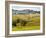 Autumn Vineyards in Full Color near Montepulciano-Terry Eggers-Framed Photographic Print