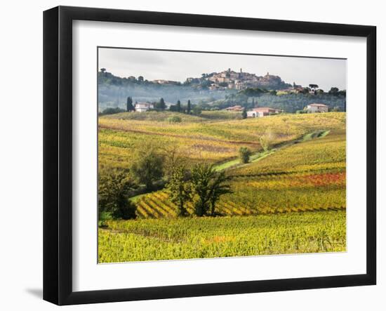 Autumn Vineyards in Full Color near Montepulciano-Terry Eggers-Framed Photographic Print