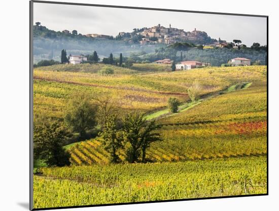 Autumn Vineyards in Full Color near Montepulciano-Terry Eggers-Mounted Photographic Print