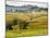 Autumn Vineyards in Full Color near Montepulciano-Terry Eggers-Mounted Photographic Print