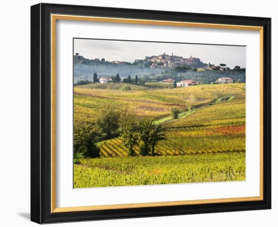 Autumn Vineyards in Full Color near Montepulciano-Terry Eggers-Framed Photographic Print