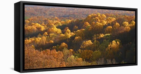 Autumn vista in Brown County State Park, Indiana, USA-Anna Miller-Framed Premier Image Canvas