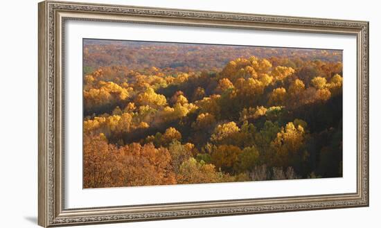 Autumn vista in Brown County State Park, Indiana, USA-Anna Miller-Framed Photographic Print