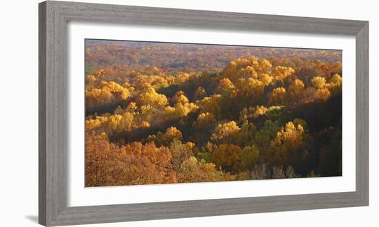 Autumn vista in Brown County State Park, Indiana, USA-Anna Miller-Framed Photographic Print