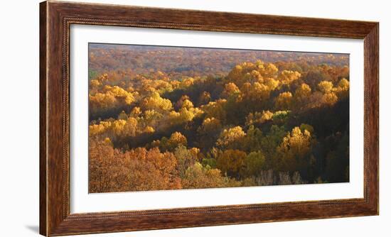 Autumn vista in Brown County State Park, Indiana, USA-Anna Miller-Framed Photographic Print