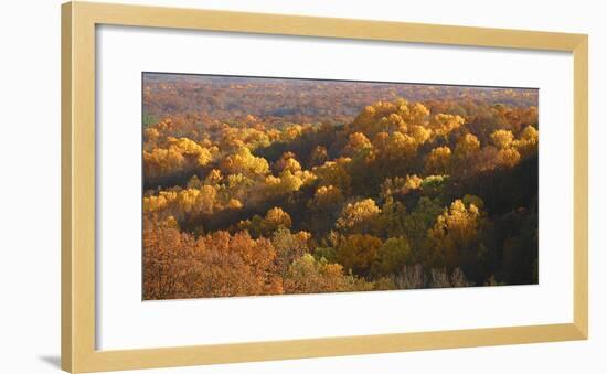 Autumn vista in Brown County State Park, Indiana, USA-Anna Miller-Framed Photographic Print