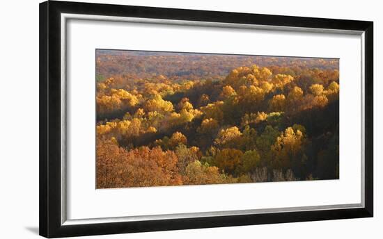 Autumn vista in Brown County State Park, Indiana, USA-Anna Miller-Framed Photographic Print