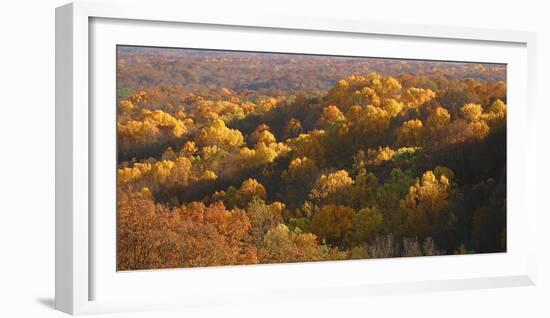 Autumn vista in Brown County State Park, Indiana, USA-Anna Miller-Framed Photographic Print