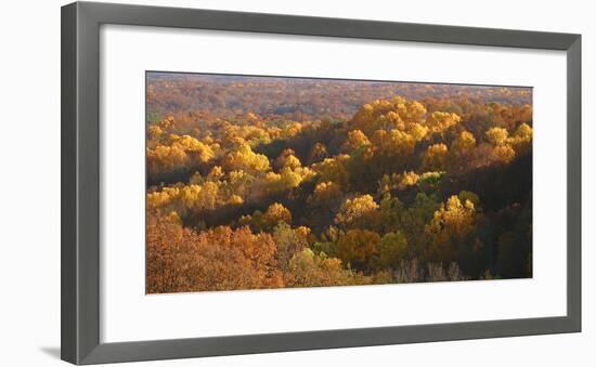 Autumn vista in Brown County State Park, Indiana, USA-Anna Miller-Framed Photographic Print