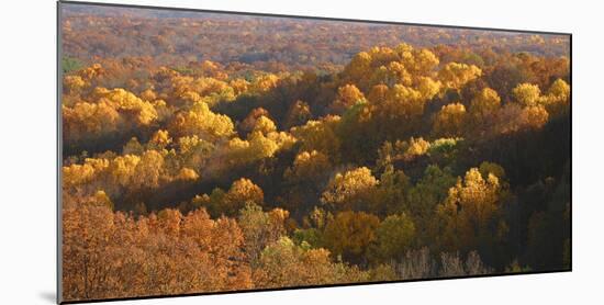 Autumn vista in Brown County State Park, Indiana, USA-Anna Miller-Mounted Photographic Print