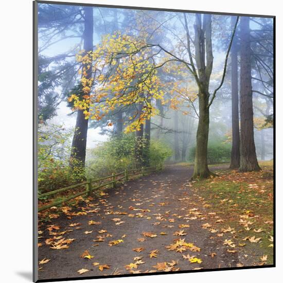 Autumn Walk-Jim Nilsen-Mounted Giclee Print