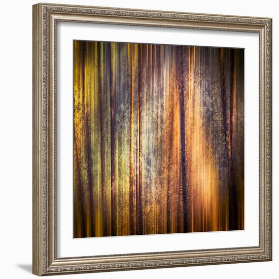 Autumn Walk-Ursula Abresch-Framed Photographic Print