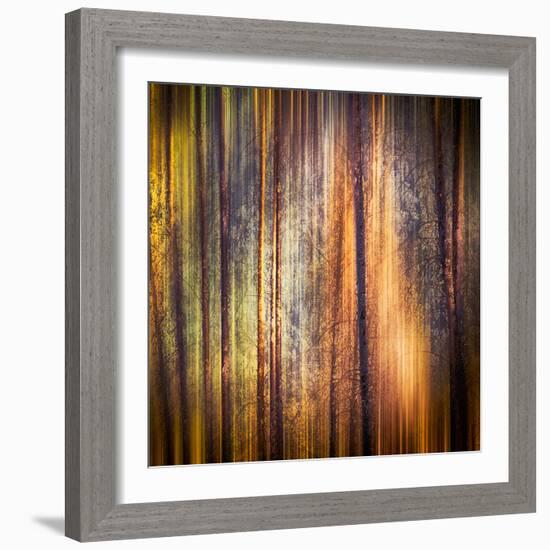 Autumn Walk-Ursula Abresch-Framed Photographic Print