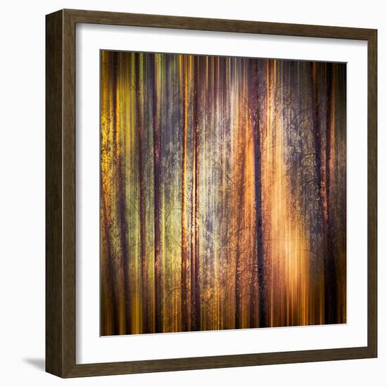 Autumn Walk-Ursula Abresch-Framed Photographic Print