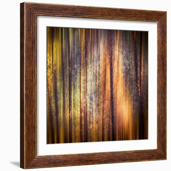 Autumn Walk-Ursula Abresch-Framed Photographic Print