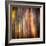 Autumn Walk-Ursula Abresch-Framed Photographic Print