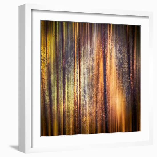 Autumn Walk-Ursula Abresch-Framed Photographic Print