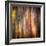 Autumn Walk-Ursula Abresch-Framed Photographic Print