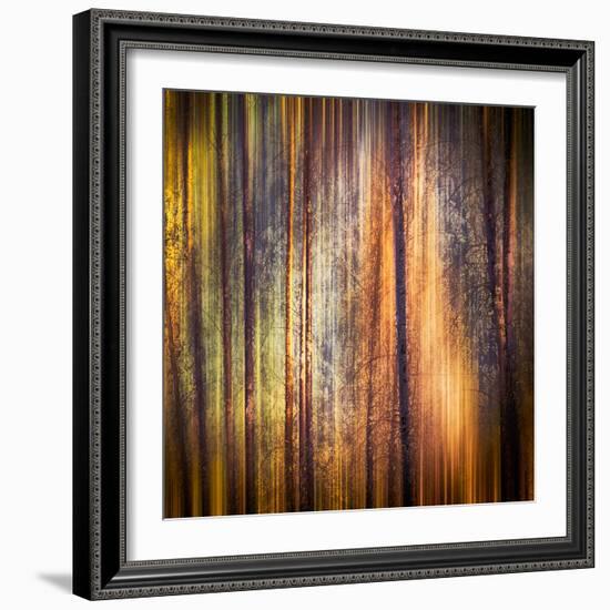 Autumn Walk-Ursula Abresch-Framed Photographic Print