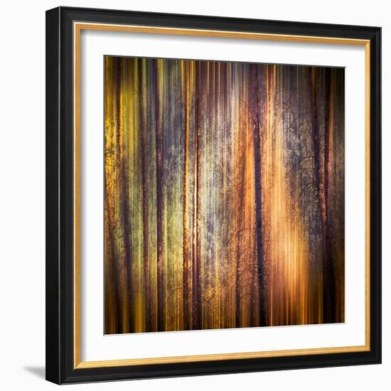 Autumn Walk-Ursula Abresch-Framed Photographic Print