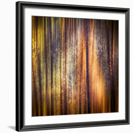 Autumn Walk-Ursula Abresch-Framed Photographic Print