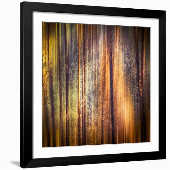 Autumn Walk-Ursula Abresch-Framed Photographic Print