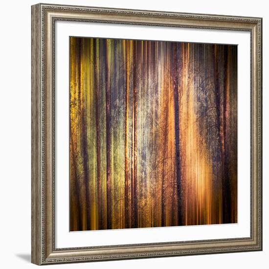 Autumn Walk-Ursula Abresch-Framed Photographic Print