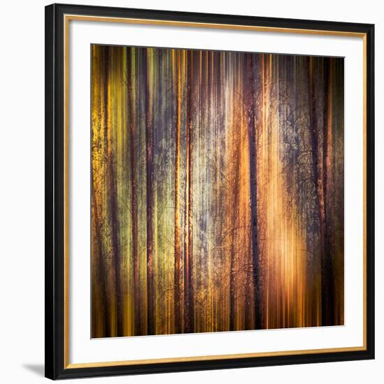 Autumn Walk-Ursula Abresch-Framed Photographic Print