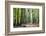 Autumn Walk-Philippe Manguin-Framed Photographic Print