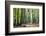 Autumn Walk-Philippe Manguin-Framed Photographic Print